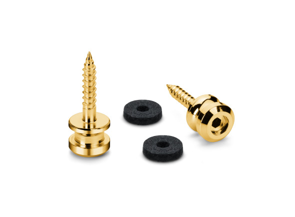 Schaller Security S-Locks Pin Set M G Schaller Security S-Locks Pin Set M G